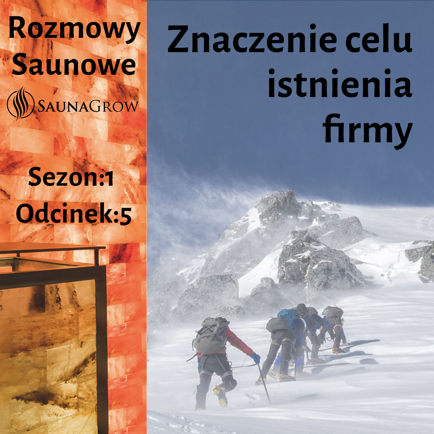 5. [podcast] Znaczenie celu istnienia firmy